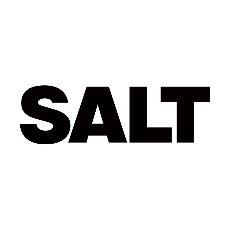 Salt Inc